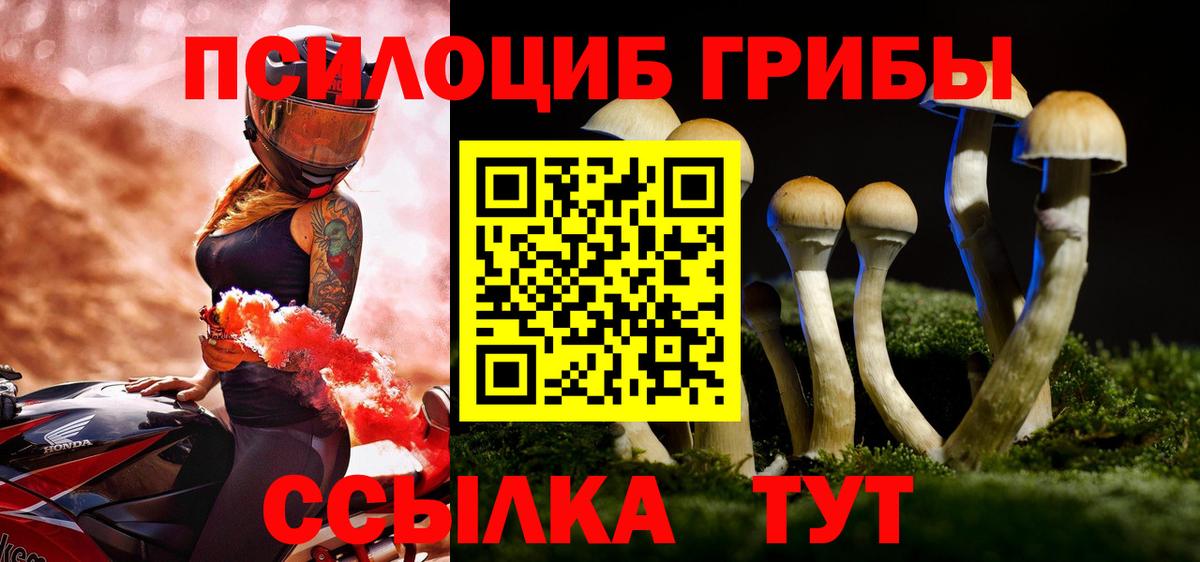 Галлюциногенные грибы Psilocybe  Вход с VPN  Тулун 