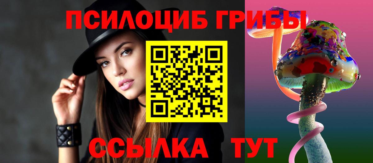 Галлюциногенные грибы Psilocybe Тулун